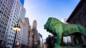 Lion Statue Near Building