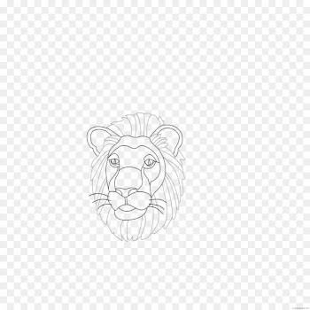 Lion Tiger Sketch Line art Whiskers - lion 