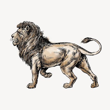 Lion watercolor sticker, animal vintage | Free Vector Illustration - rawpixel