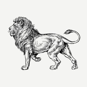 Lion, wild animal illustration psd. | Free PSD Illustration - rawpixel