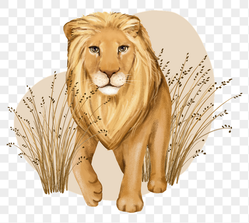 Lion wildlife png sticker, cute | Free PNG Illustration - rawpixel