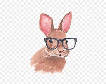 Lionhead rabbit Easter Bunny Glasses Drawing - Hand-painted rabbit with glasses 