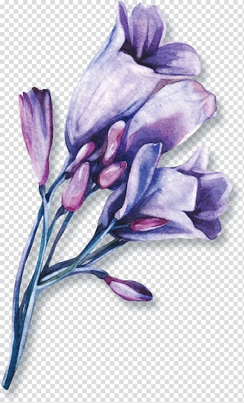 Lip Google Purple Search engine, Watercolor flowers transparent background PNG clipart