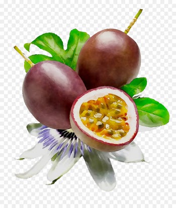 Lipstick Passion Fruit Food Cosmetics -  