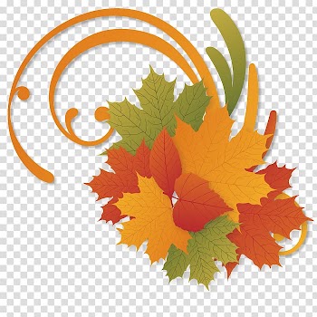 Liqiu Autumn, Autumn leaves transparent background PNG clipart
