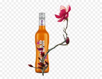 Liqueur Down In The Garden Glass bottle Book Calendar - Beer branch flower decoration 