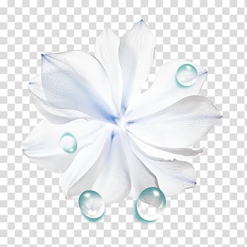 Liquid Flower Drop, Big Flower liquid drops transparent background PNG clipart