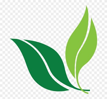 List-style - Wellness Perth Natural Medicine