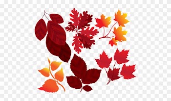 List31 - Leaf