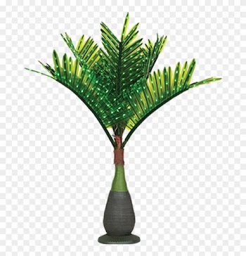 Lit Palm Trees - Lighted Palm Tree Outdoor
