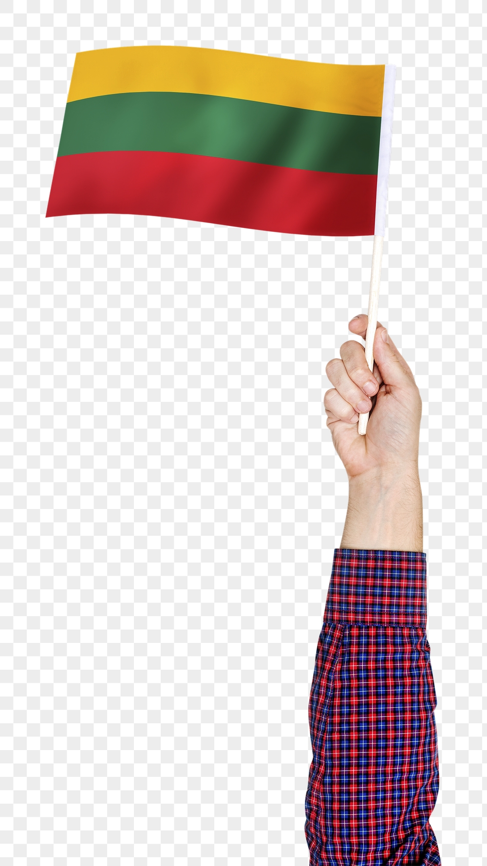 Lithuania's flag png in hand | Free PNG - rawpixel