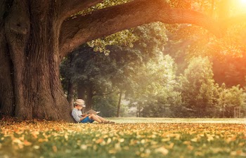 Little Boy Reading Book Under Big Stock Photo