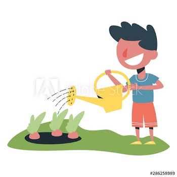 Little child watering plant on the farm