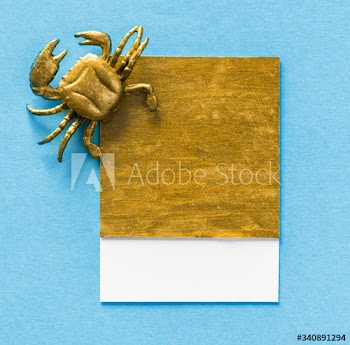 Little cute crab on a paper