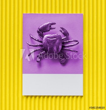 Little cute crab on a paper