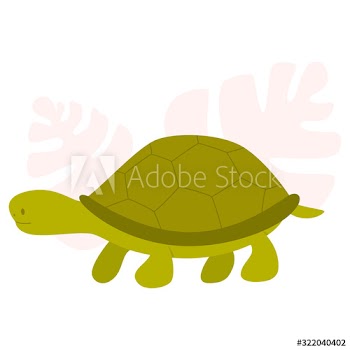 Little cute tortoise