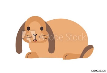 Little domestic lop-eared rabbit or bunny