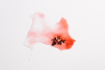 Little Flower Heads and Red Watercolor Paint  · Free Stock Photo