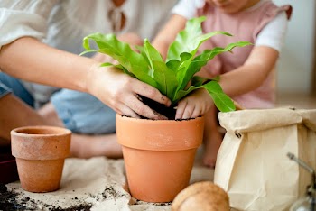 Little girl and mom potting plants at home | Free stock photo | High Resolution image