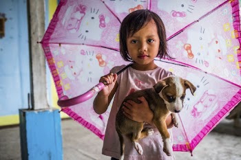 Little girl holding puppy, Nueva | Free Photo - rawpixel