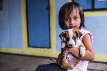 Little girl holding puppy, Nueva | Free Photo - rawpixel