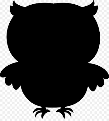 Little Owl Drawing animation Image -  