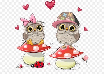 Little Owl Drawing Illustration - Owl vector mushrooms on 