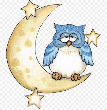 Little Owl Drawing - owl 