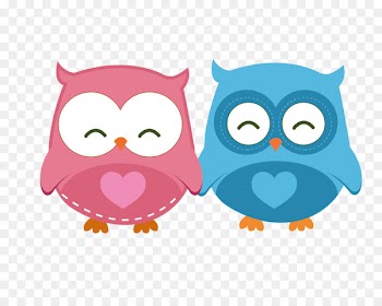 Little Owl Drawing - Owl pairs 