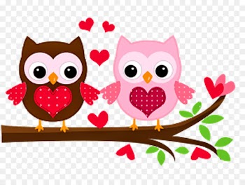 Little Owl Drawing Paper - professores 