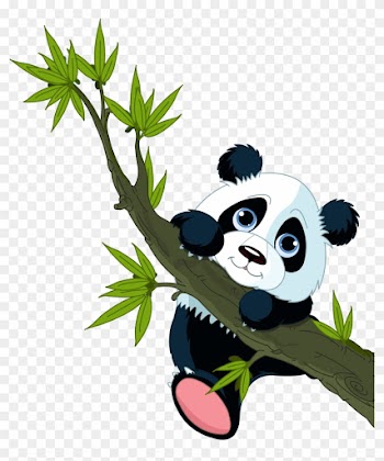 Little Panda Stickers, Panda Decals, Little Bear Adhesive - Panda On Tree Greeting Cards