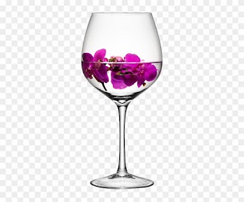 Little Rock Venues And Wedding Receptions - Lsa International Lsa Wine Glass H39cm