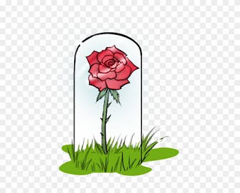 Little Rose By Sammyblade1995 - Rose