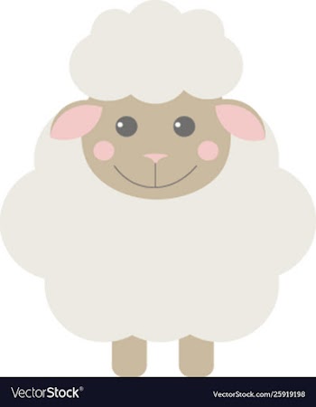 Little sheep vector image