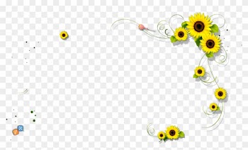 Little Sunflower Border - Sunflower Border