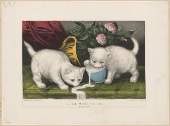 Little white kitties: into mischief | Free Photo - rawpixel