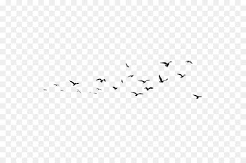 Liuyang Oil painting Wall - Group of birds 