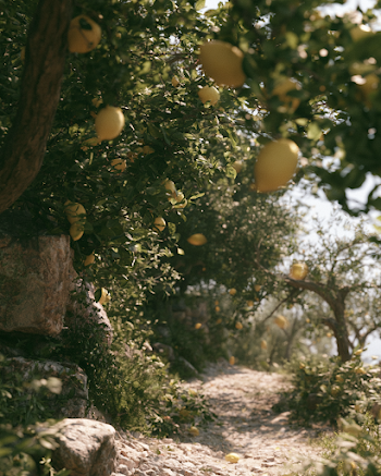 Lively Lemon Grove on a Breezy Day