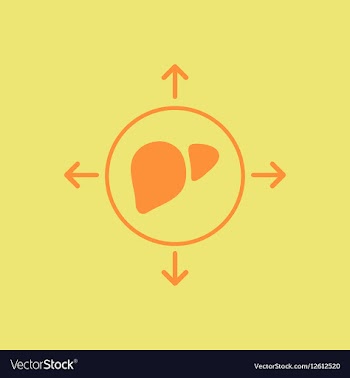 Liver disease various symptoms of Malaria on the vector image