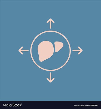 Liver disease various symptoms of malaria on the vector image