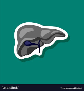 Liver paper sticker on stylish background vector image