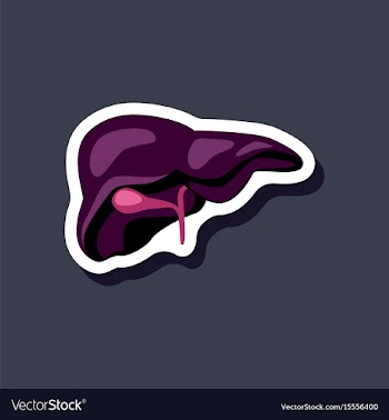 Liver paper sticker on stylish background vector image