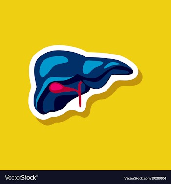 Liver paper sticker on stylish background vector image