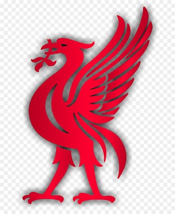 Liverpool F.C. Liver bird Premier League - macaw 
