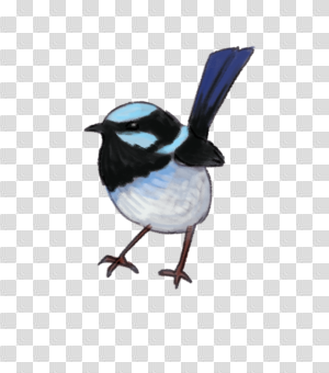 Living Wetlands Birds — Rachel Tribout