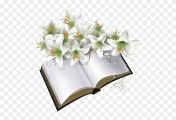 Livres,guestbook - Png Book Frames Hd