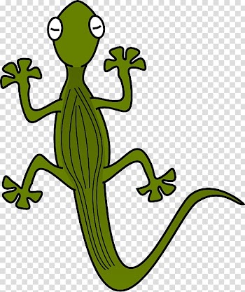Lizard Chameleons Common Iguanas Reptile , Halloween Spider transparent background PNG clipart