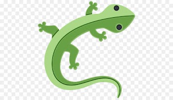 Lizard, Frog, Green PNG