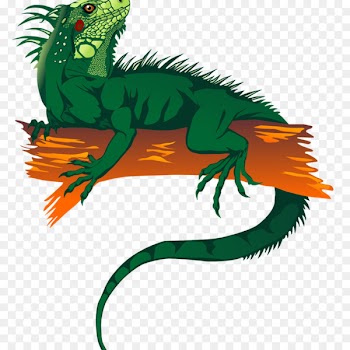 Lizard Green iguana Reptile Clip art Image - lizard 