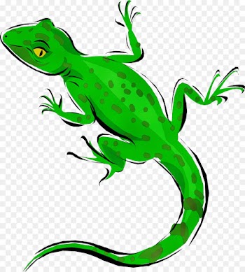 lizard green reptile european green lizard clip art
